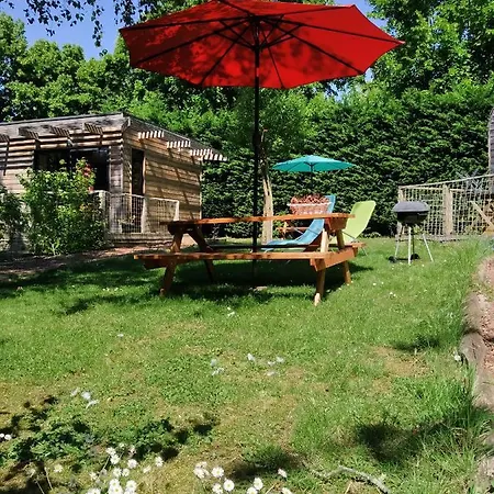 Les De L'ecole Buissonniere * Lens