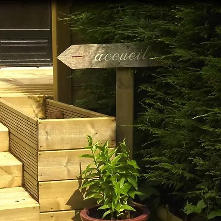 Les De L'ecole Buissonniere Lens